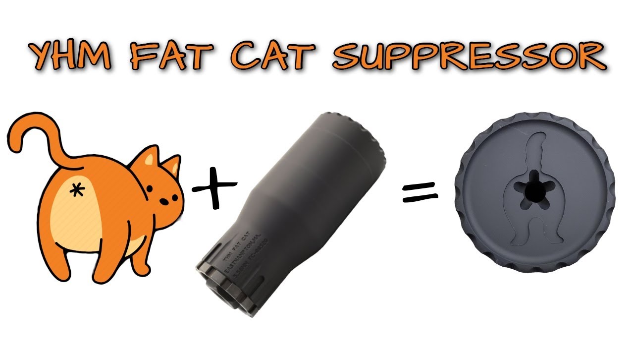 YHM Fat Cat — печально известная кошачья задница!