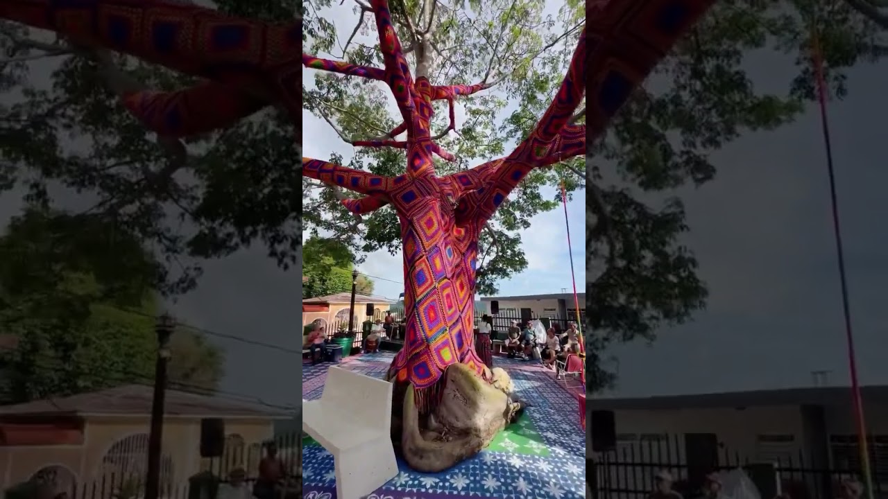 Arbol Tejido en Yauco