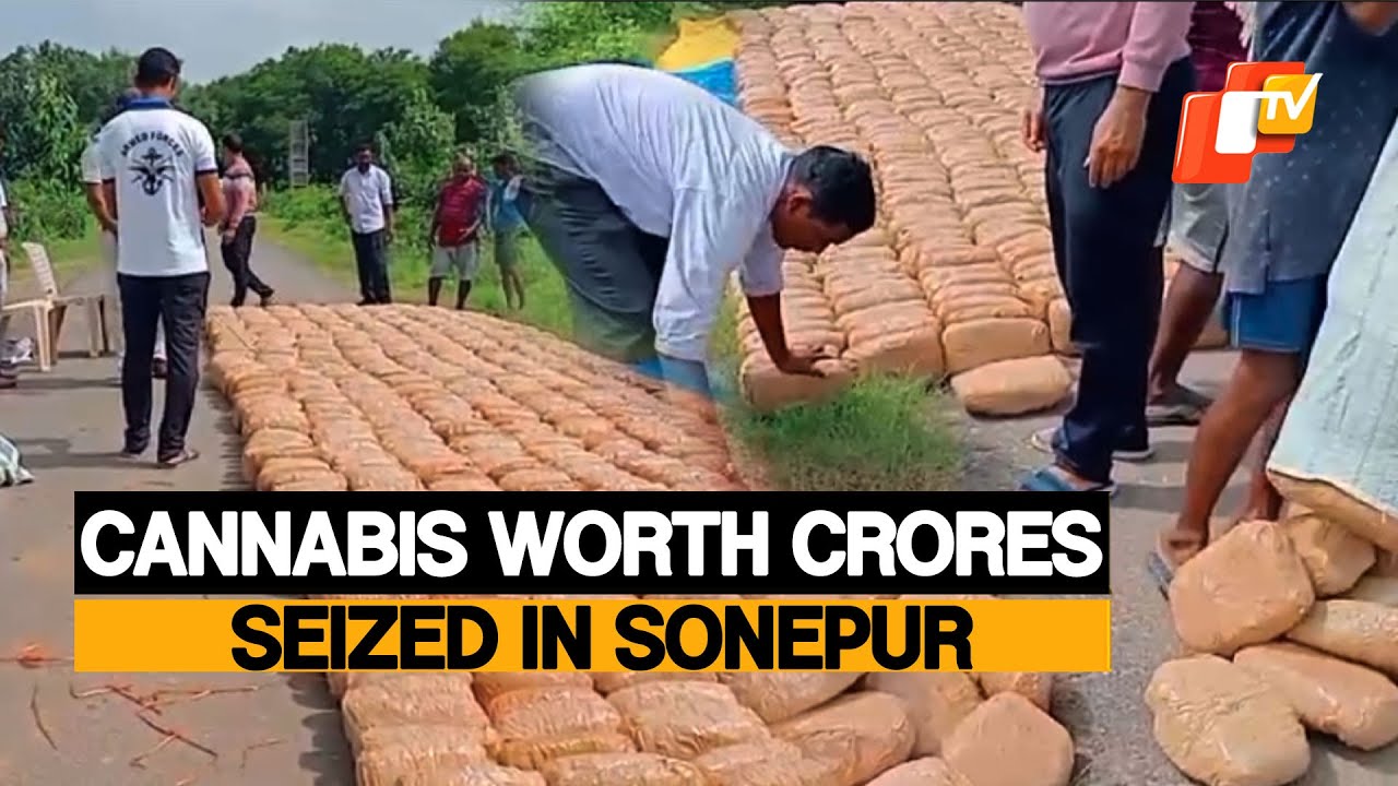 5 Quintals Of Ganja Seized In Sonepur; 4 Held In Major Crackdown