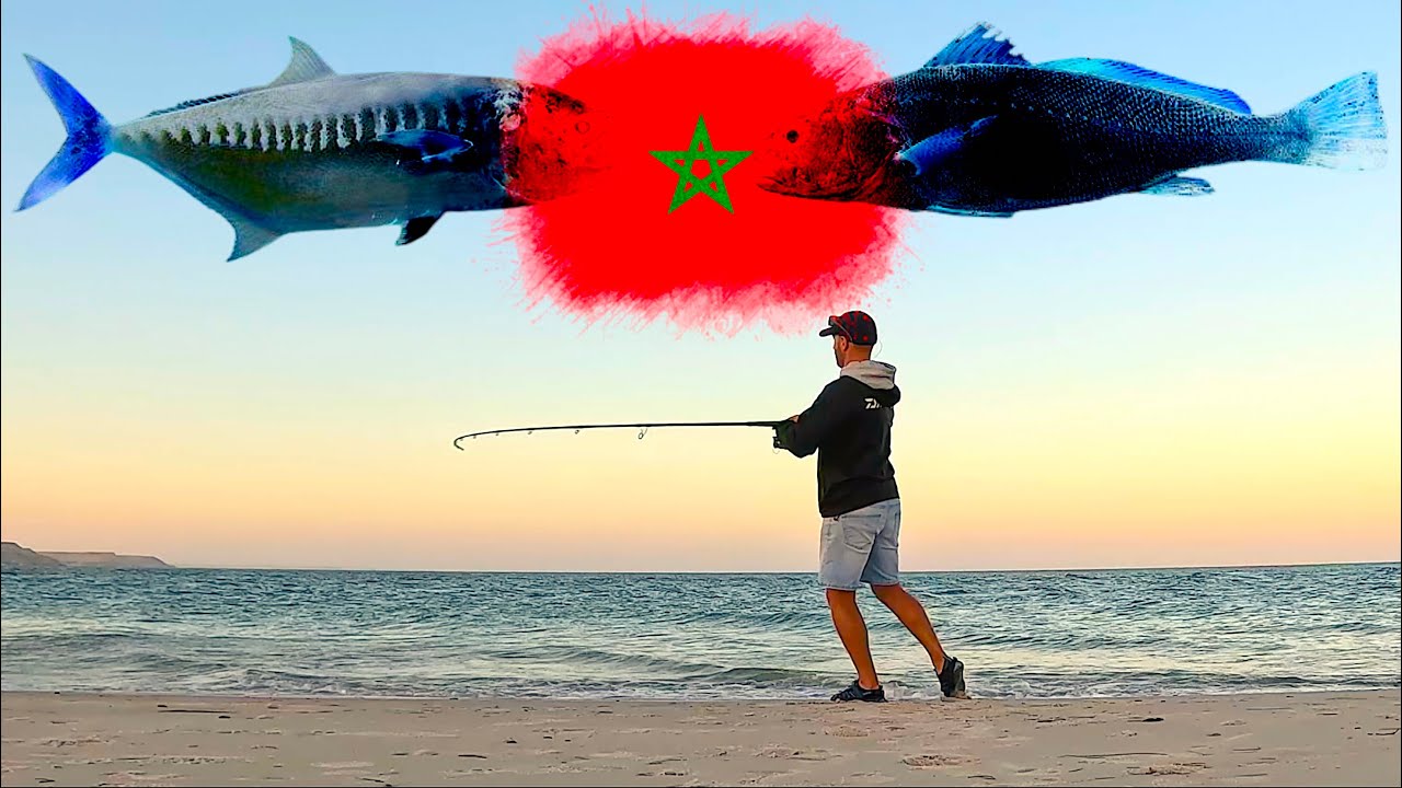 UN PESCE DIETRO L'ALTRO! TANTE Specie a Spinning da Riva nel Deserto all'Alba [Pesca in Marocco #2]