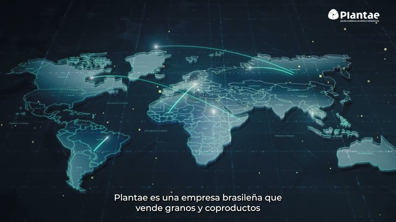 Plantae: granos y coproductos brasileños