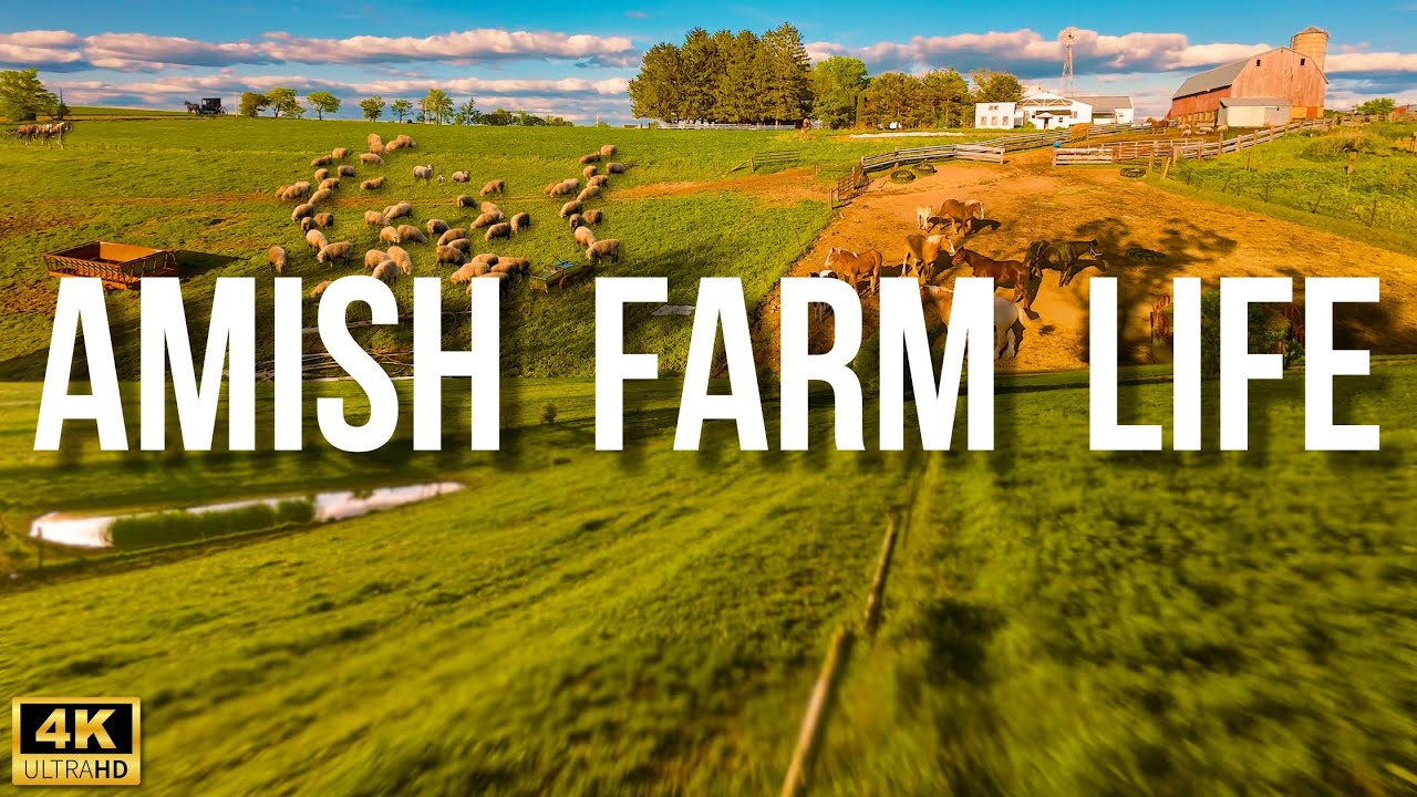 Amish Farm Life | 4K HDR Cinematic FPV Drone Tour