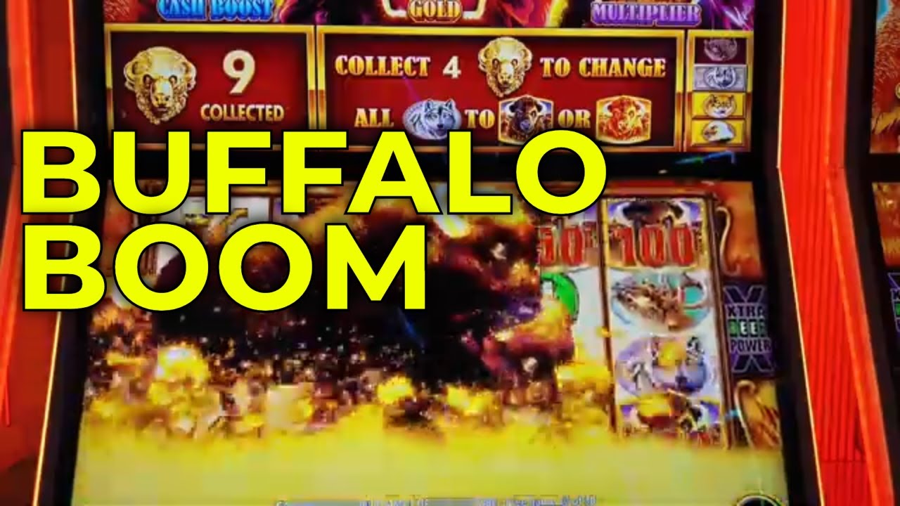 BUFFALO GOLD CASH COLLECTION WENT CRAZY! HUGE BONUS STAMPEDE 🎰🦬🔥