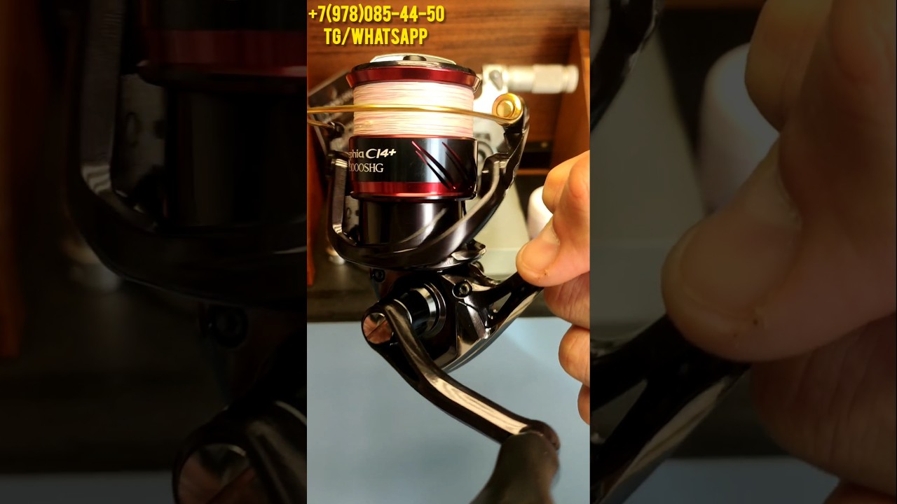 Shimano 17 Sephia 🦑 C3000HG , кальмар держись ! #daiwa #fishing #shimano #рыбалка