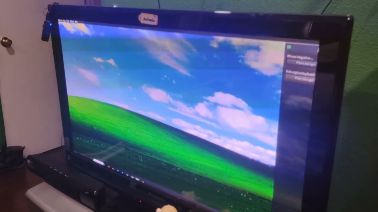 При попытке обновления с Windows XP до Windows 11, всё пошло не так&hellip;