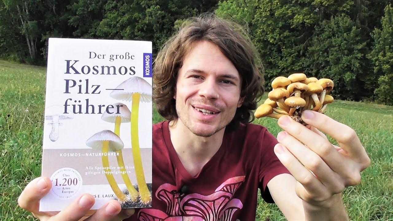Der Gro&szlig;e Kosmos Pilzf&uuml;hrer - Unsere Buchempfehlung Zur Pilzbestimmung Beim Pilzesammeln