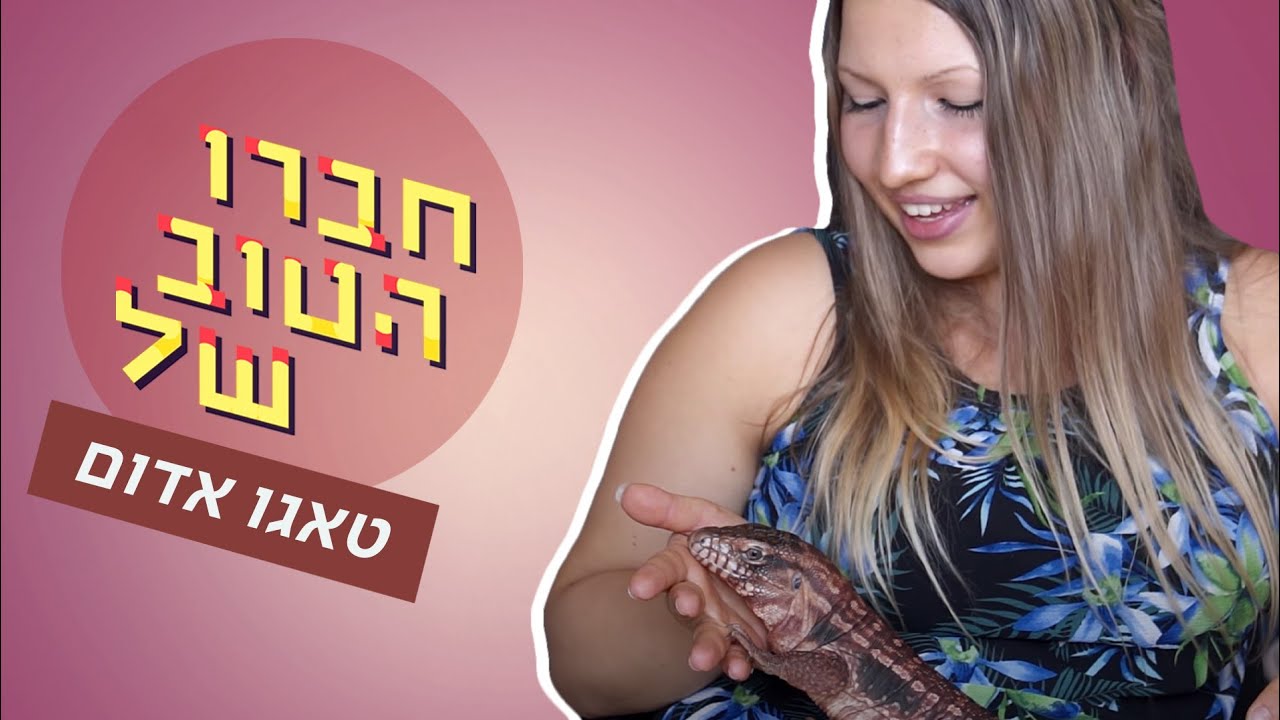 כאן חברו הטוב של | בדירה אחת עם טגו אדום, חתולים, נחשים, טרנטולות וחמוסים
