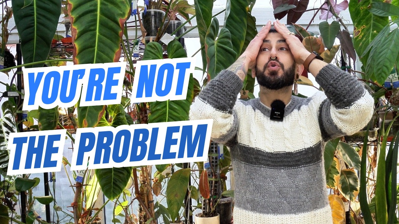 🌿 You’re Not Bad at Plants, The Advice Is (Unpopular Opinions)