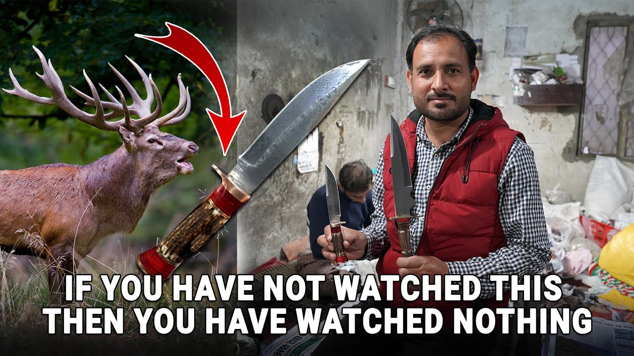 Amazing Deer Antler Stag Handle Hunting Knife Damascus Steel Forging | Deer of South Africa | #Short