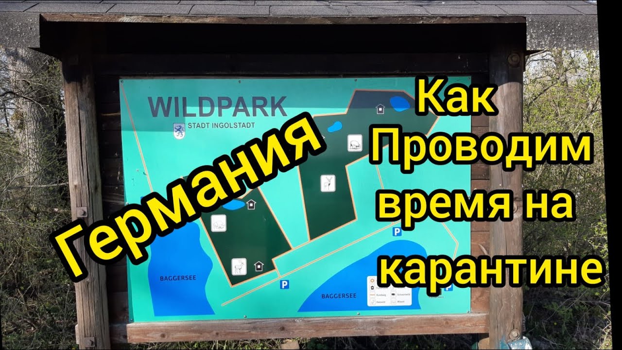 ГЕРМАНИЯ #ПРОГУЛКА ПО ПАРКУ ЖИВОТНЫХ.БАГГЕРЗЕЕ.ДУНАЙ.БАВАРИЯ.ЖИЗНЬ В ГЕРМАНИЯ.
