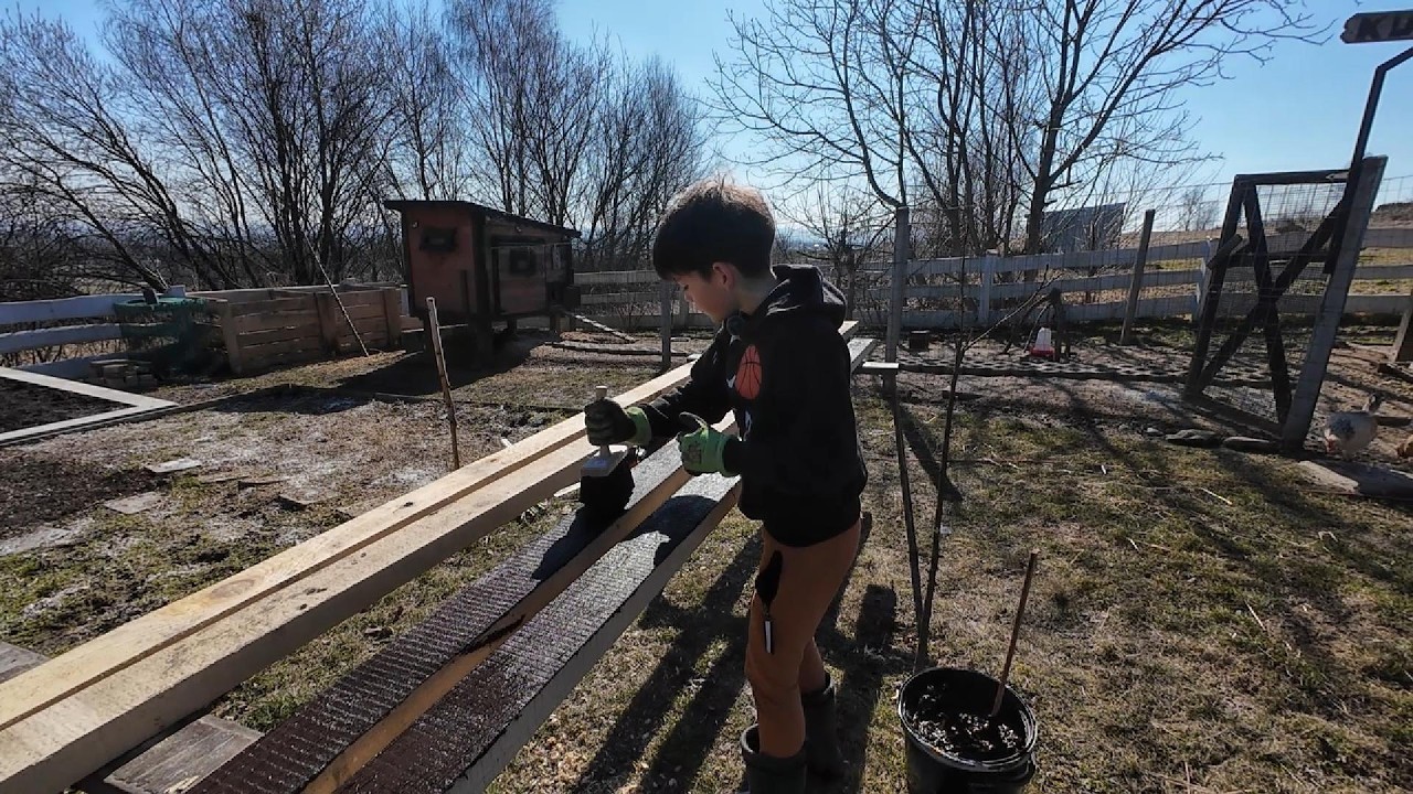 Podwalina pod szklarnię - wiosenne sprzątanie kurnika - sok z brzozy i żurawie na niebie :)