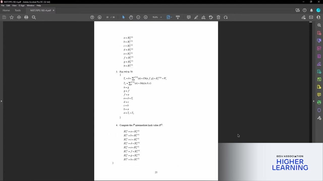 SHA 256 GoLang Implementation  Input and Reprocessing