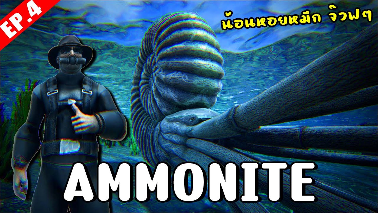 Ammonite น้อนหอยหมึกจ๊วฟๆ - จับสัตว์ A-Z (The series) #4