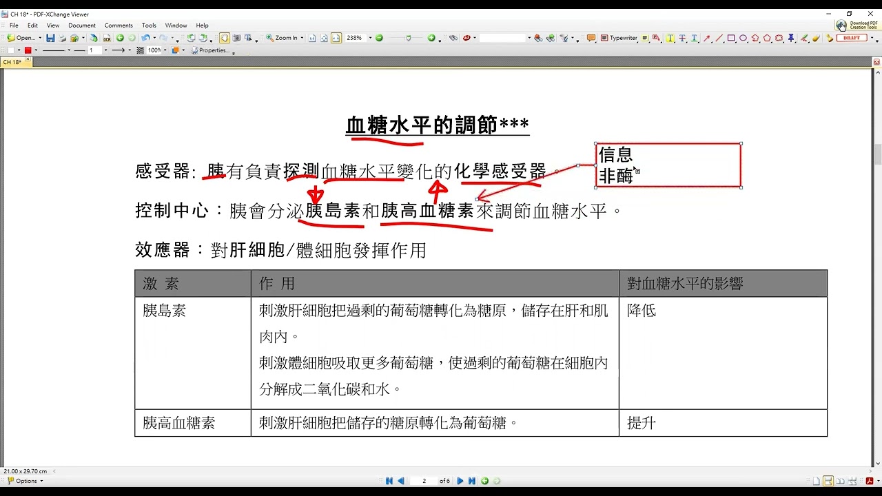 CH18 負反饋機制及血糖調節