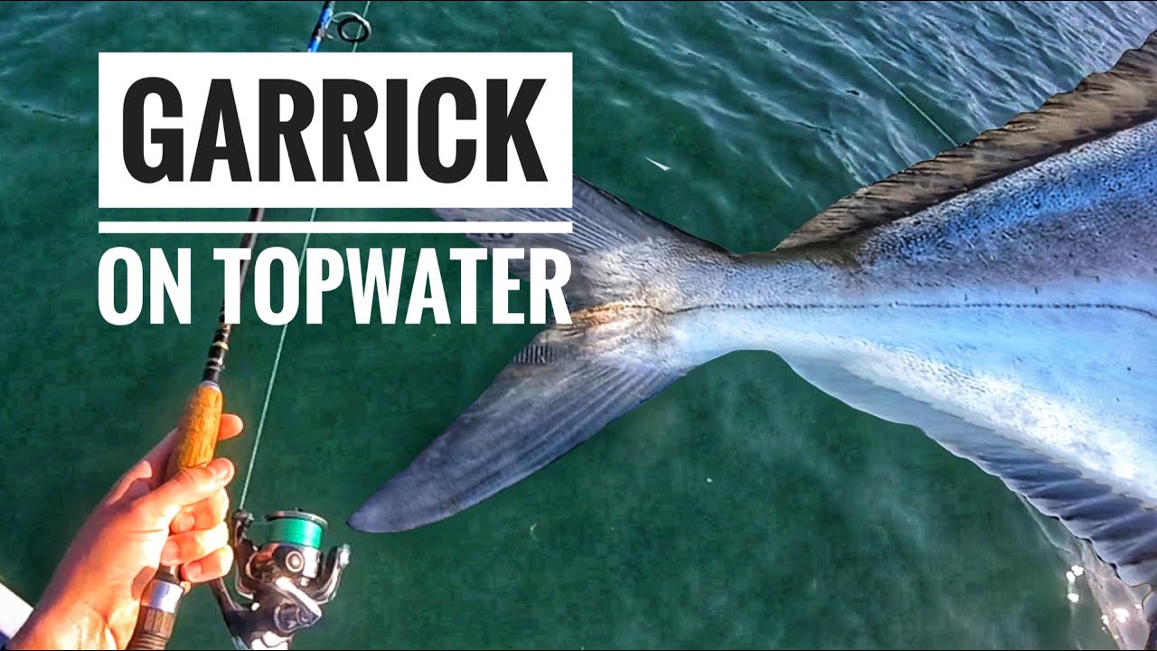 Topwater Garrick in the Eastern Cape! Catch,Tag and Release!!