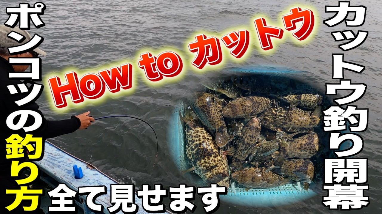 【フグ釣り】カットウ釣り開幕！フグの釣り方全て見せます ヒガンフグ（アカメフグ）の釣り方を解説