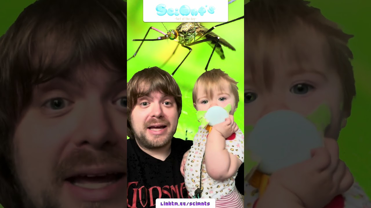 Fact of the Day: Mosquitos!