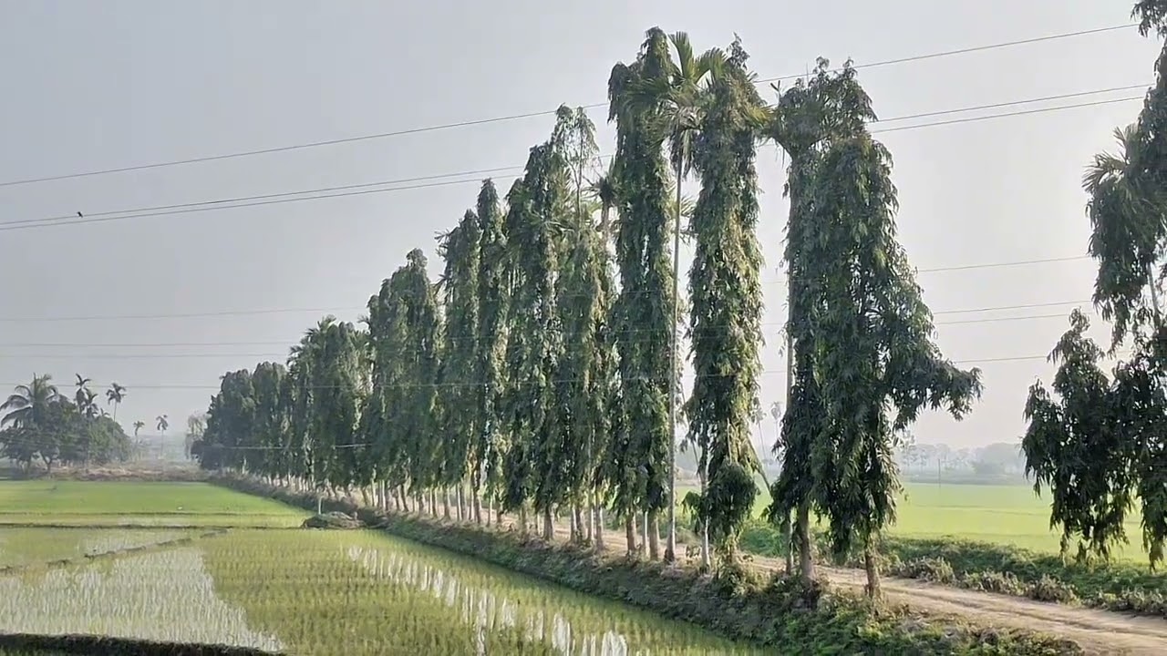 Alhamdulillah, I completed a nearly 70 km cycling journey from Mymensingh to Fulpur on my very