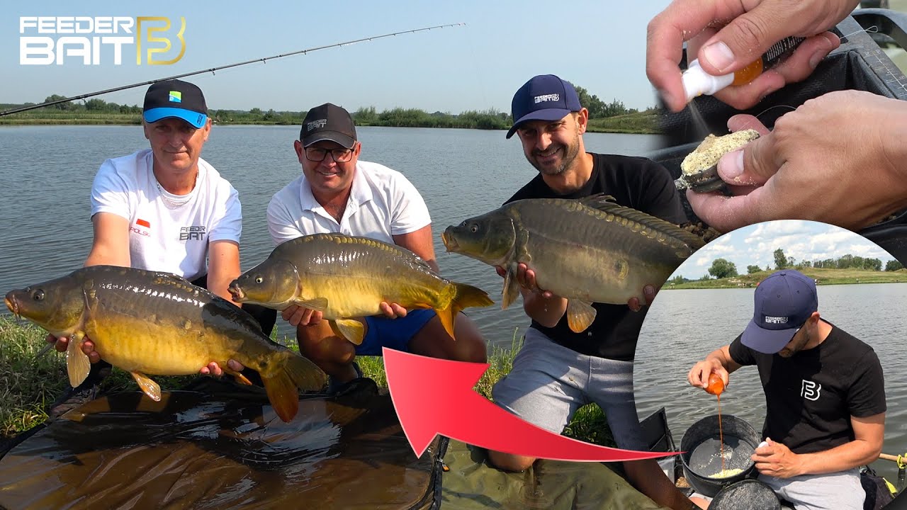 DUŻE KARPIE | METHOD FEEDER | ŁOWISKO OSTOJA GÓRECKA | FEEDER BAIT