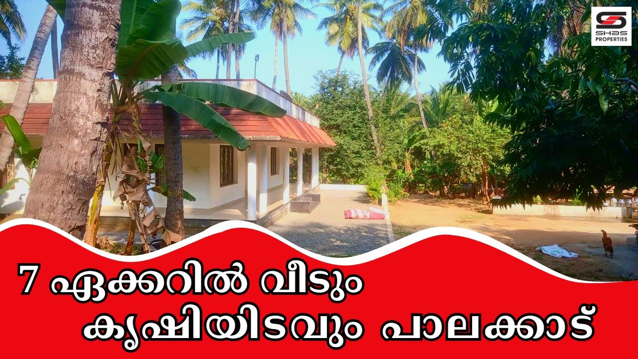 പാലക്കാട്  7 ഏക്കറിൽ വീടും കൃഷിയിടവും SHAS-1265 #realestate #palakkad #kerala
