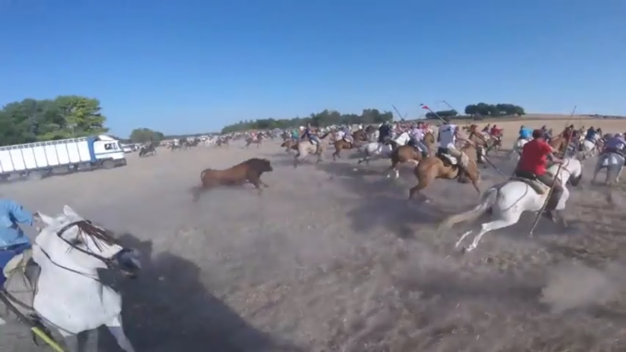 ENCIERRO HONTALBILLA 2018