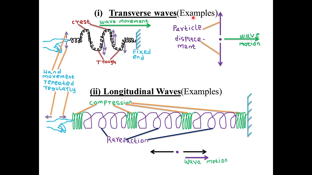 TOPIC 8 : WAVES (I) : LESSON 1