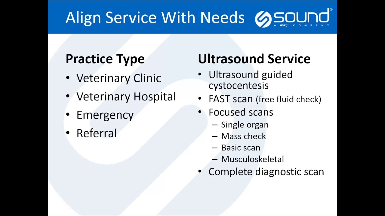 How to Incorporate Veterinary Ultrasound into The Practice