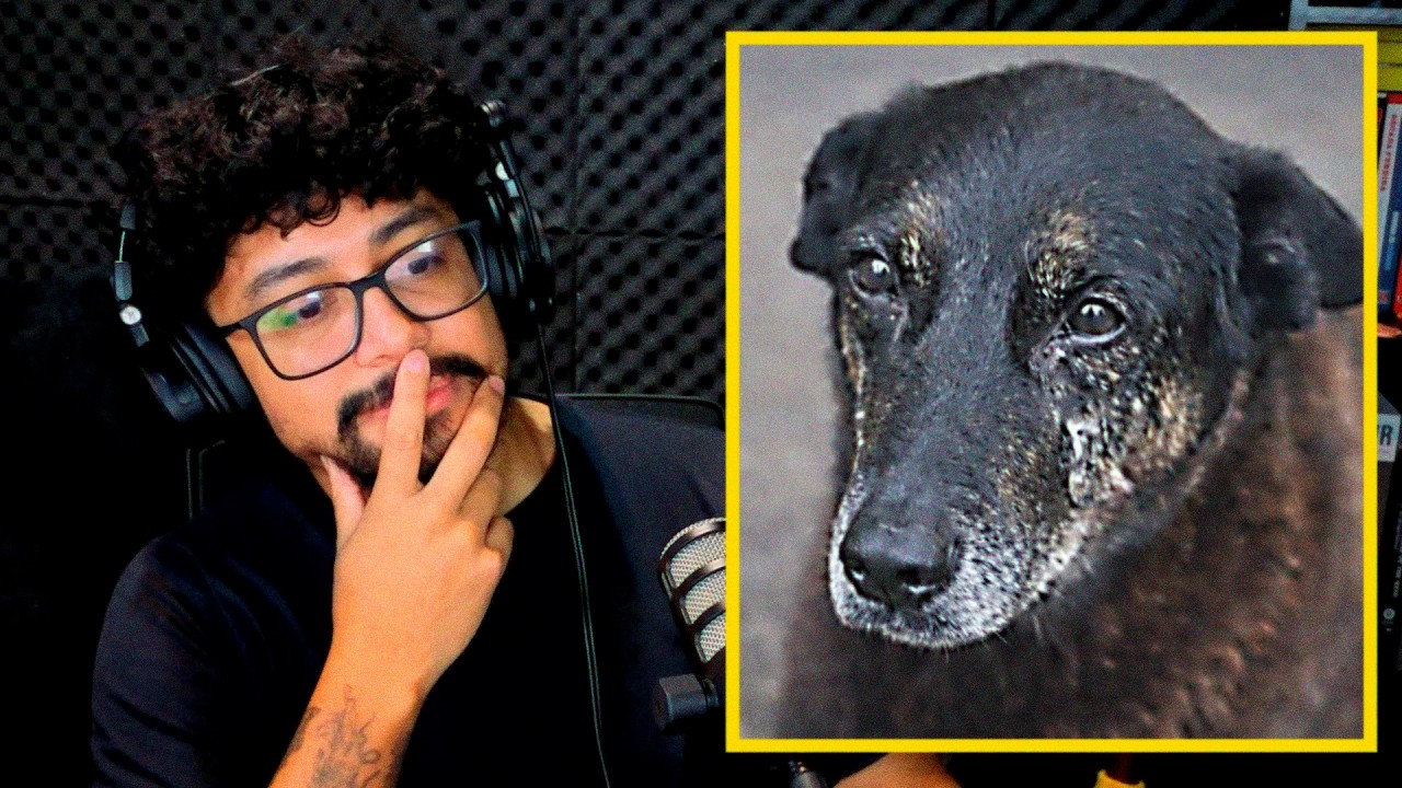 A VERDADE SOBRE O CASO CÃO ORELHA FOI REVELADA