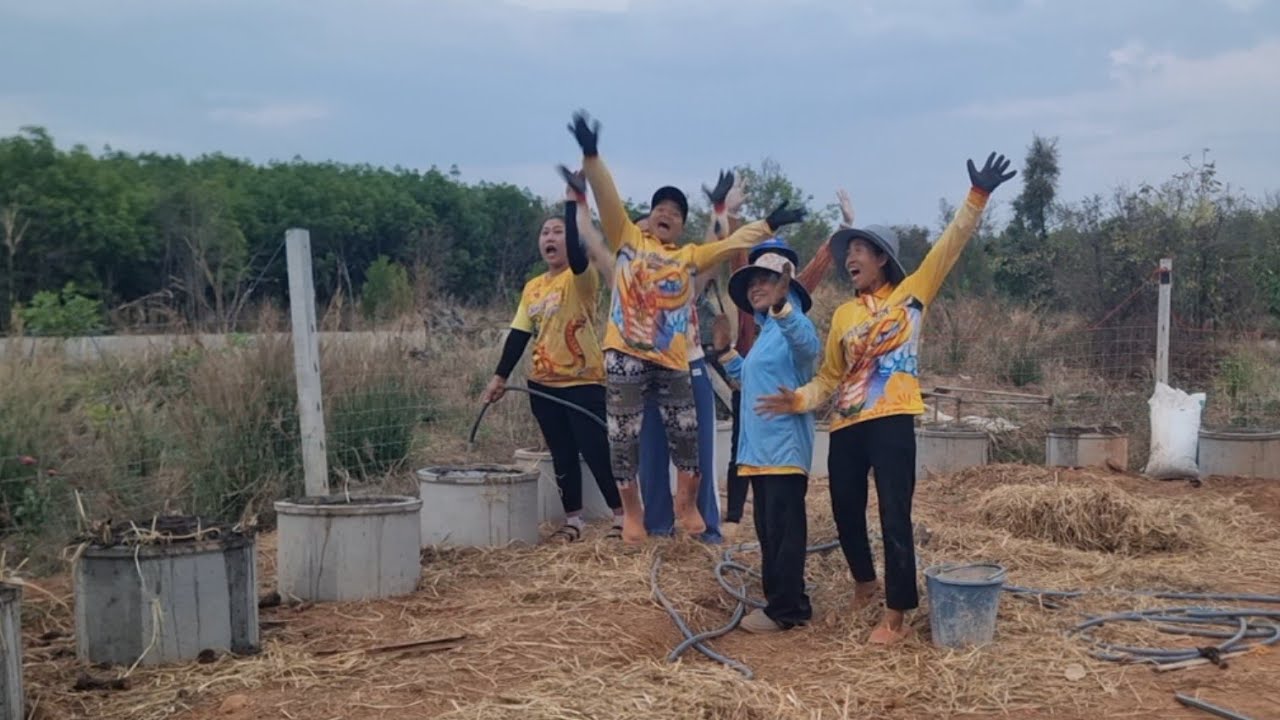 ภาระกิจในบ้านป้าสำเร็จ..รอปลูก?ขั้นตอนวิธีถูกมั้ย