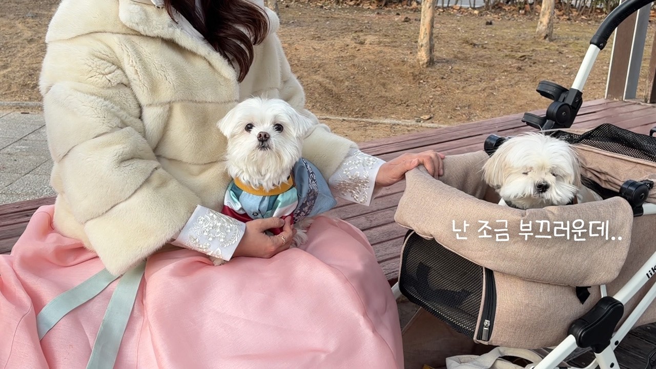 나는 우리 누나 안 부끄러워..