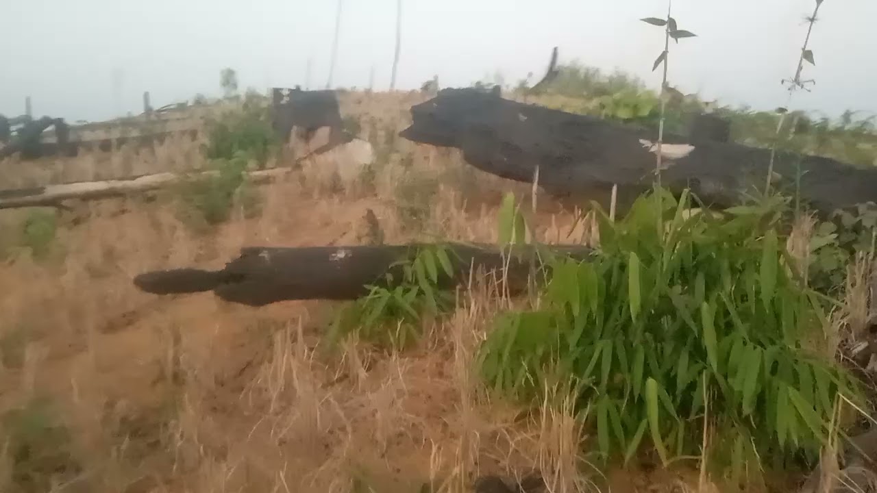 13 ມີນາ 2025