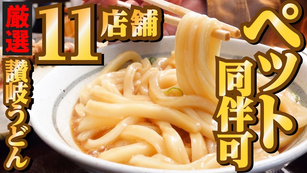 【西から東まで香川県全域‼︎ペットと一緒に食べられる讃岐うどん店11選‼︎】外席で食べれる讃岐うどんの名店【高松市•丸亀市•坂出市•善通寺市•さぬき市•東かがわ市•三豊市】