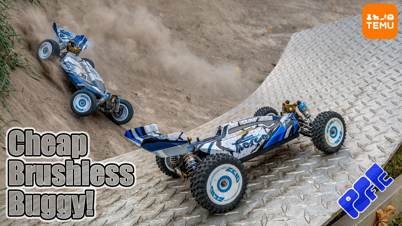 Wild RC Buggy from Temu Track and Bash Tested! Cheap WL Toys Brushless Mini Ripper
