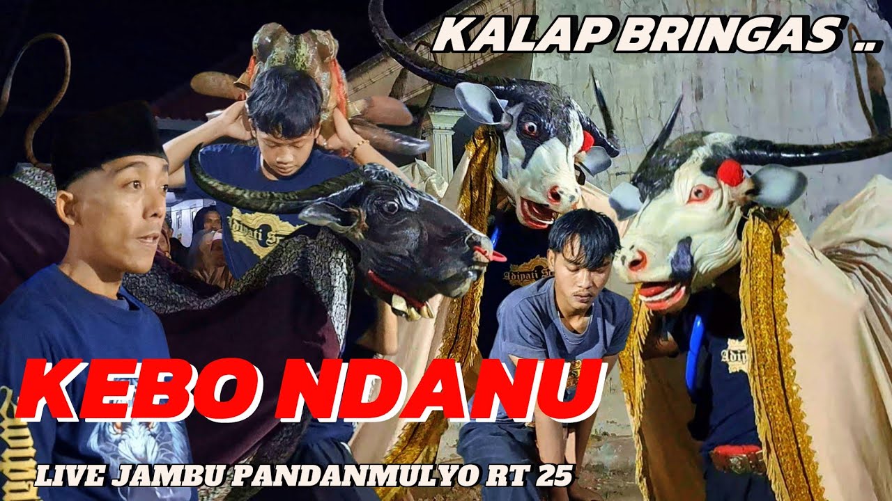 KEBO NDANU ADIPATI SRUDUK 