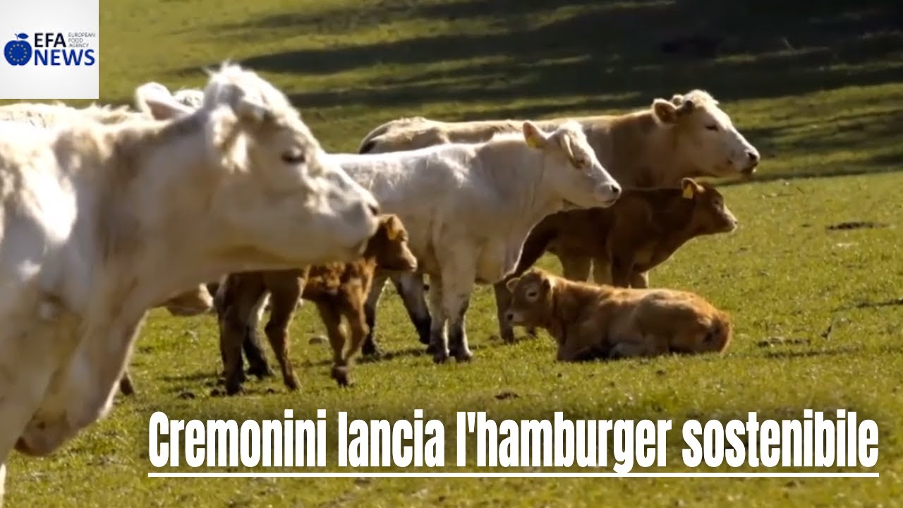 Cremonini lancia l'hamburger sostenibile