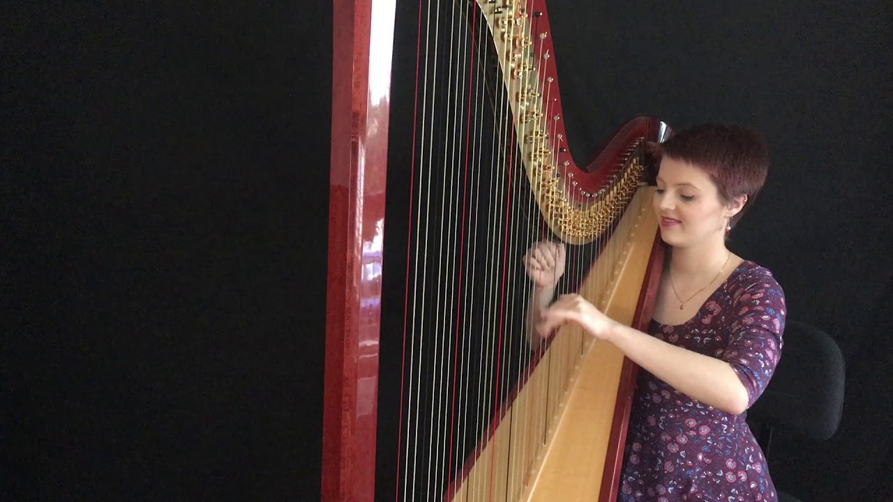 Theme to Barbie as Rapunzel - Harp Cover with Loop Pedal