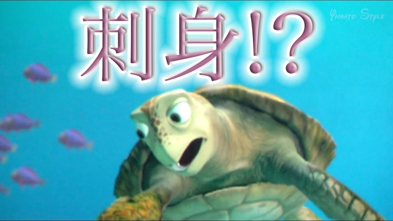 【タートル・トーク】好きな食べ物は刺身  /  東京ディズニーシー