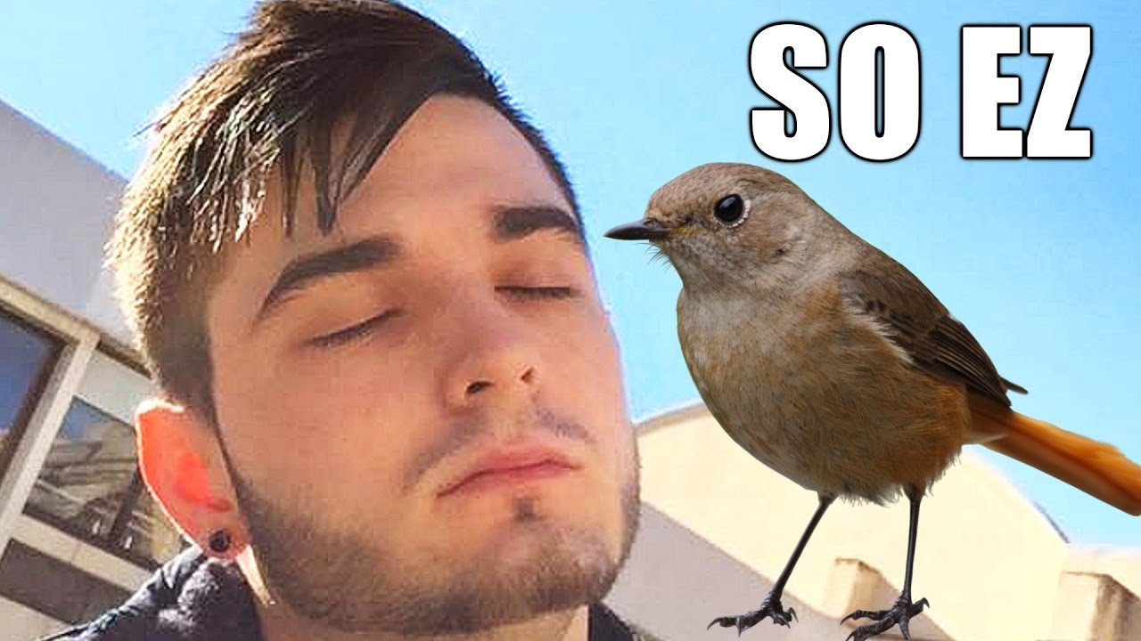 How To Kill Shox in CS:GO