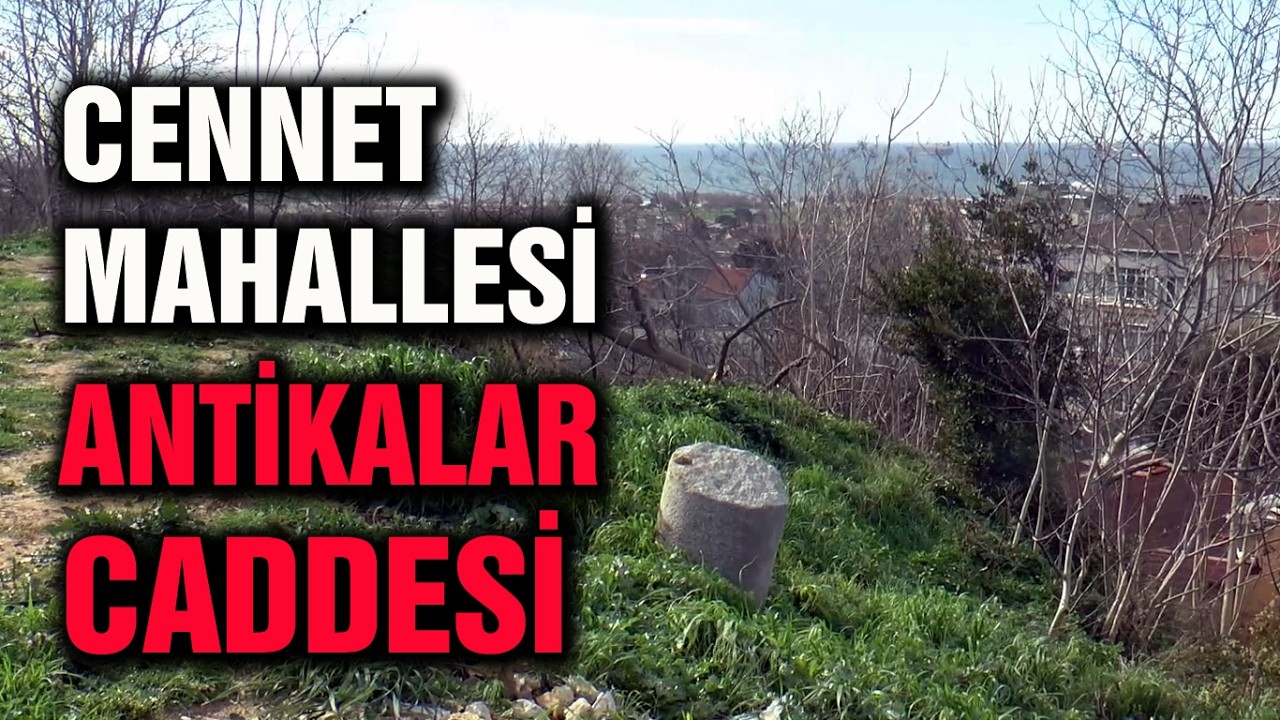 ANTİKALAR CADDESİ...#istanbul #küçükçekmece #cennetmahallesi #antikalar