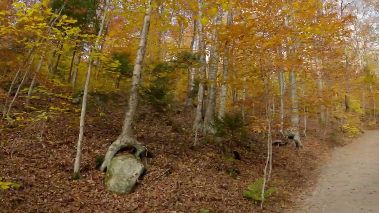 The Flume Gorge, New Hampshire, White Mountain National Forest