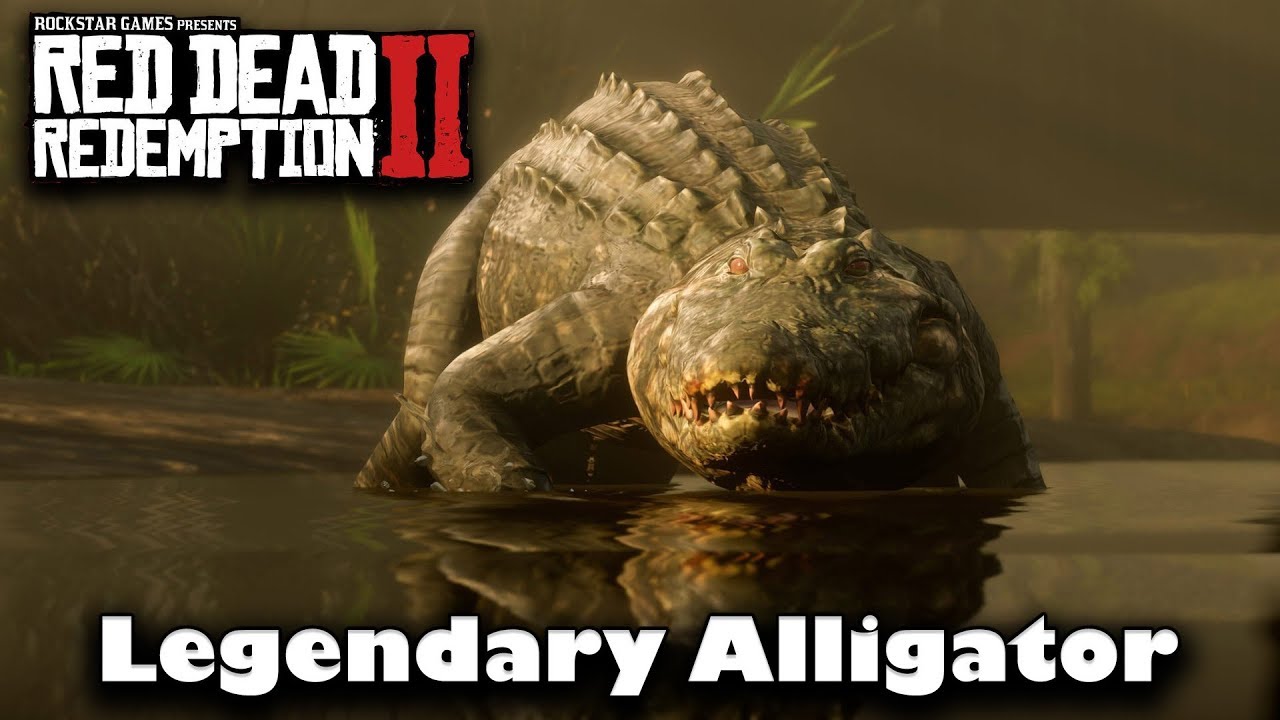Why Can't I Find the Legendary Alligator  -  Red Dead Redemption 2