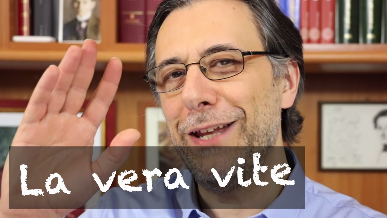Come riconoscere Cristo oggi? L'immagine della vera vite
