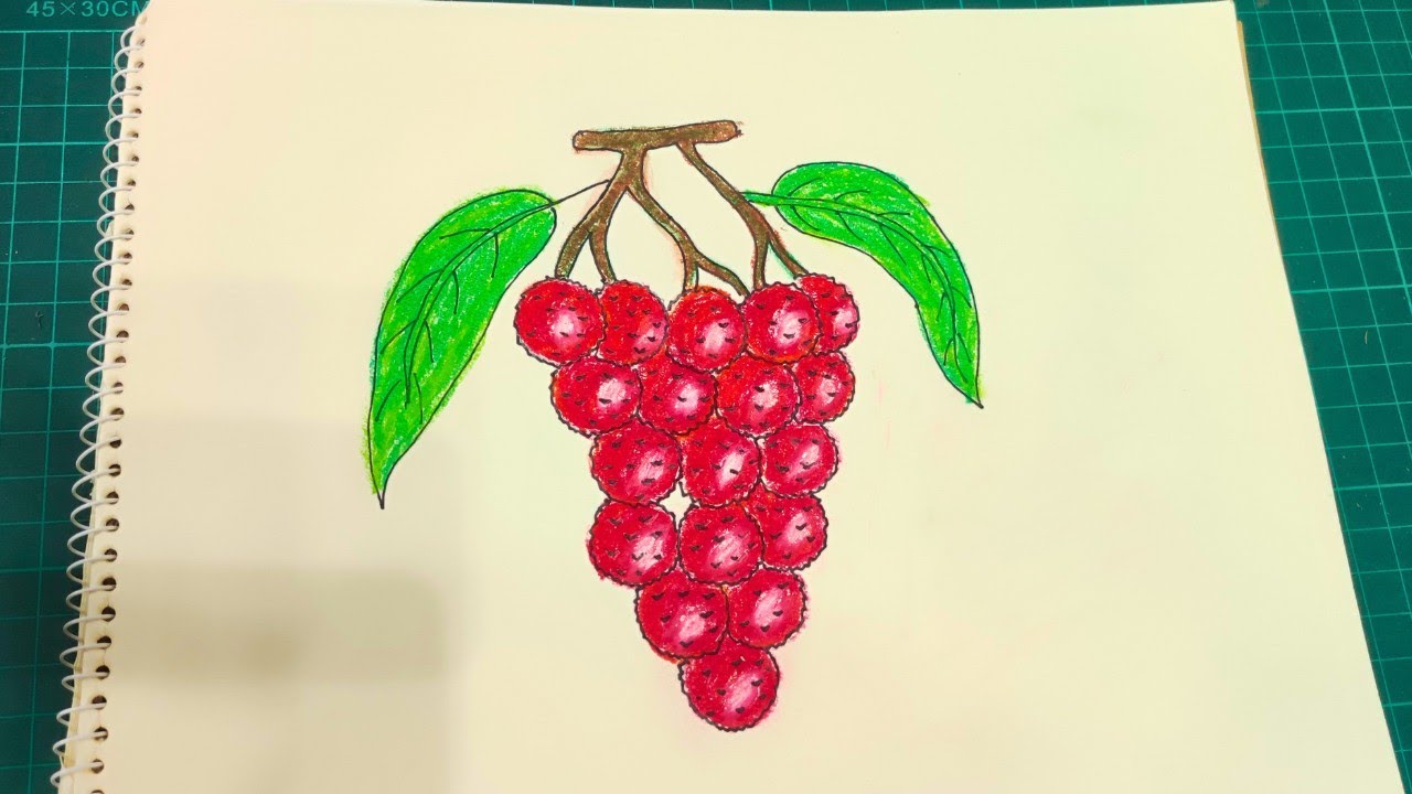Litchy drawing step by step 