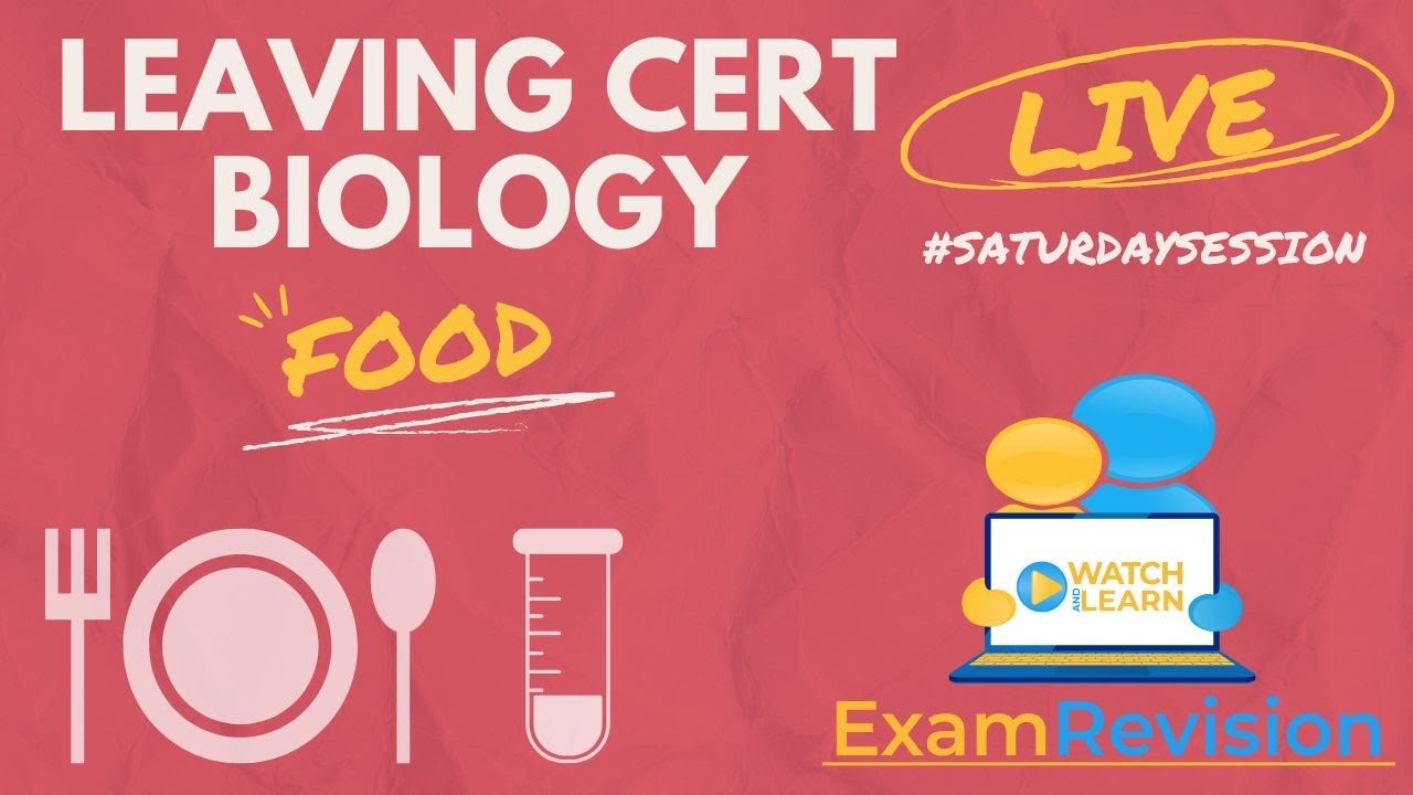 Leaving Cert Biology - Food Exam Question Breakdown 📝 🍱 🏆