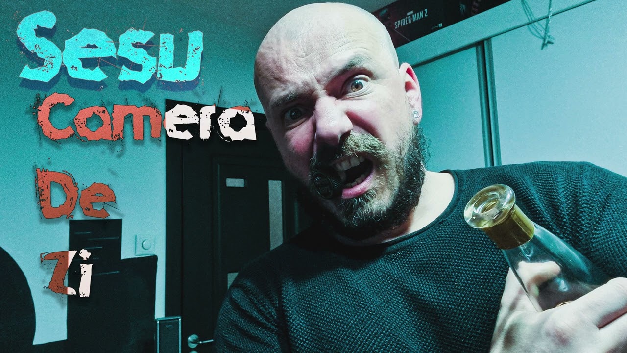 Sesu - Camera De Zi