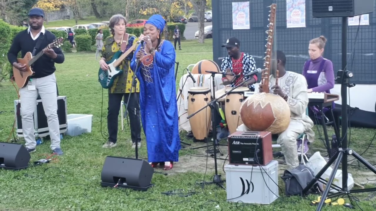 Baba sacko et assetou Diabat&eacute; et son groupe concert &agrave; Nantes musolou