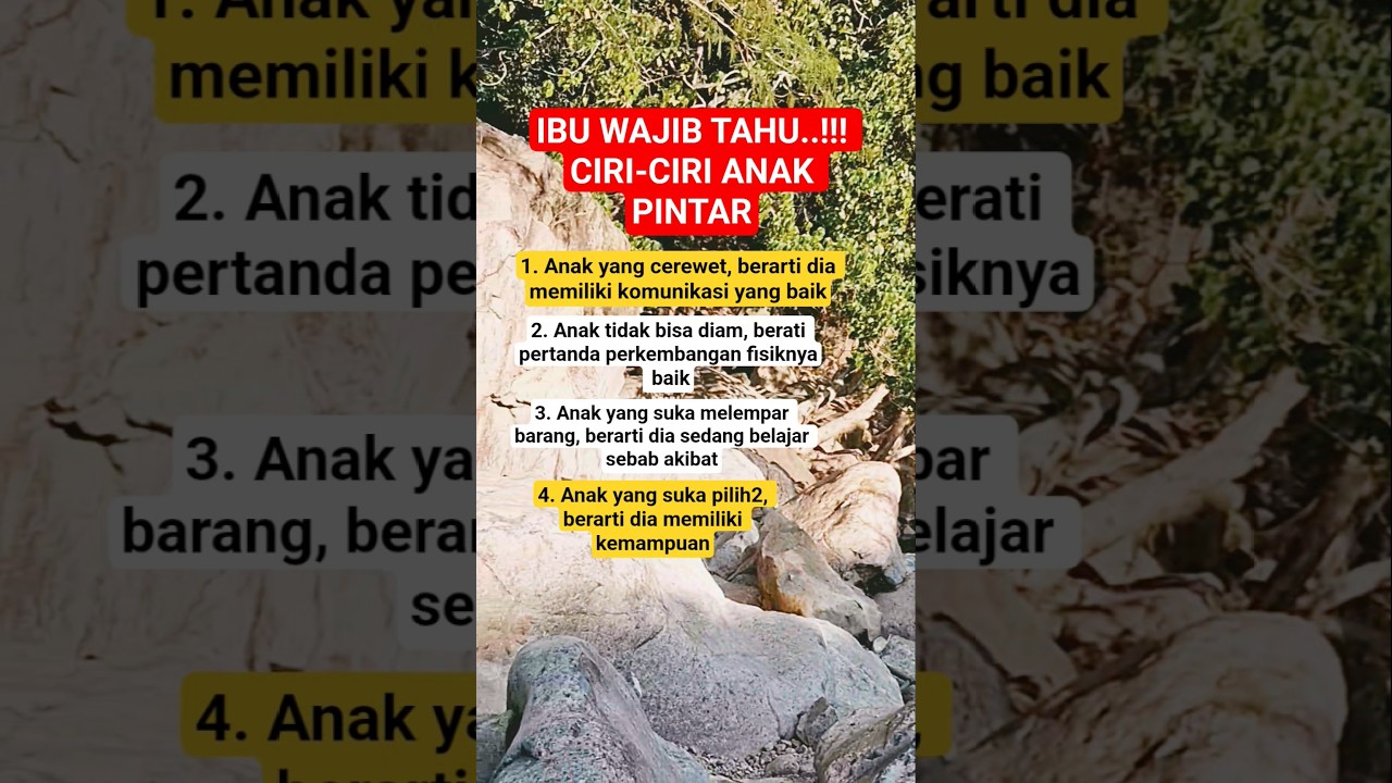 #faktamenarik #seputarislami #quotes #dakwahislam #storykatakata #faktaunik