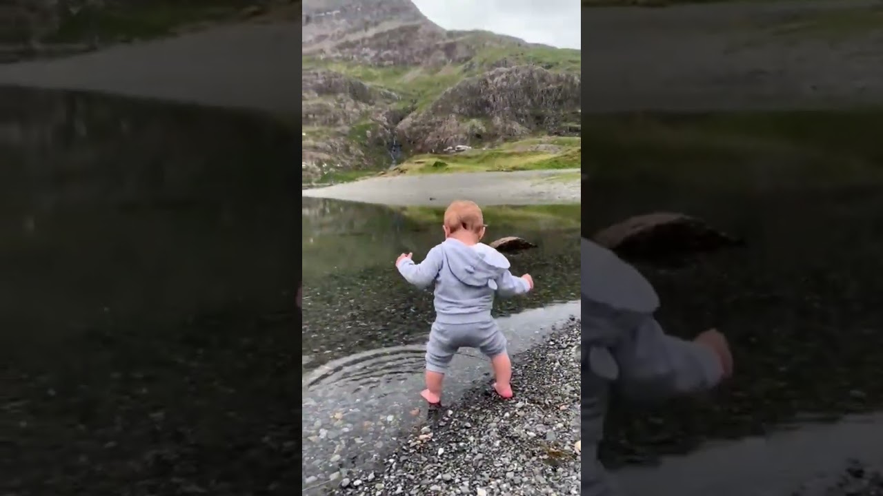 Snowdon Baby 