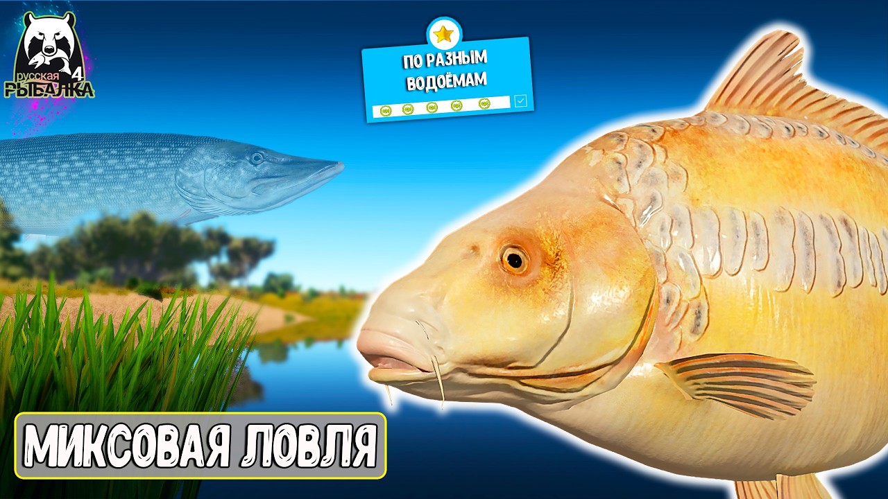 🔴 РР4/ рыбалка для души, ловим как универсал, общаемся 28.02.2026