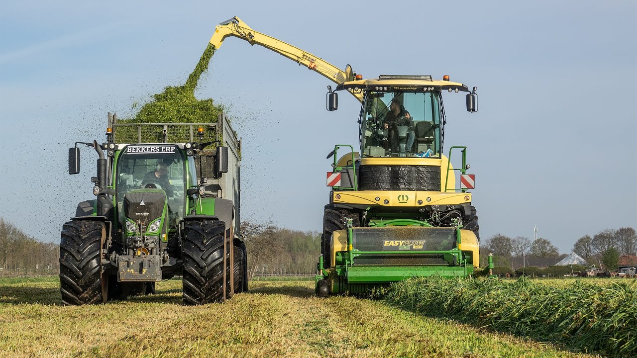 2021 | Grass silage with *NEW* Krone BiG X 780 | Bekkers - Erp